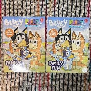 Bluey Paint with water books lot of 2 books